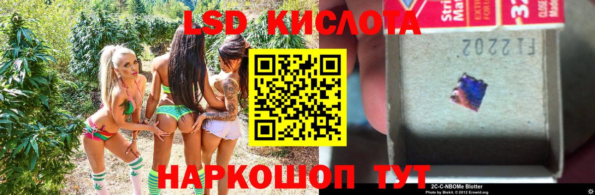 Марки NBOMe 1,5мг  сколько стоит  Вход с VPN  Зеленодольск  Марки NBOMe 1,5мг 