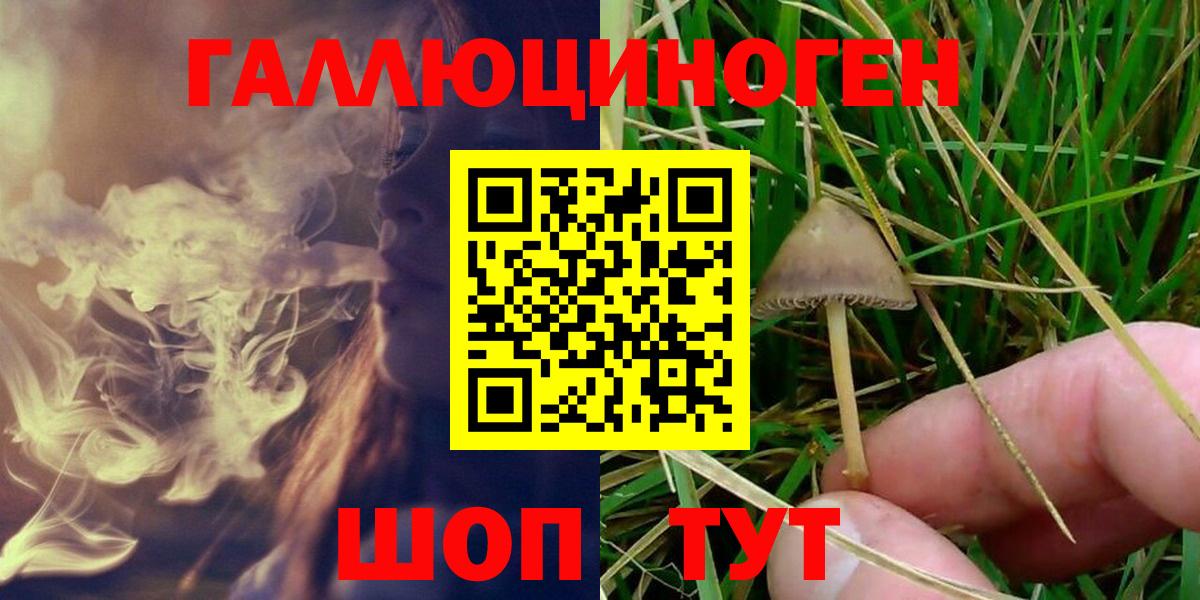 Псилоцибиновые грибы Psilocybe Зеленодольск
